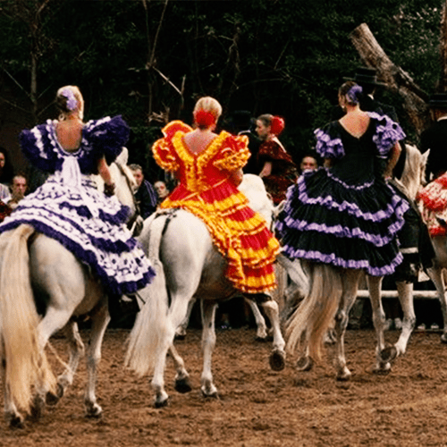 Spaanse paarden met amazones